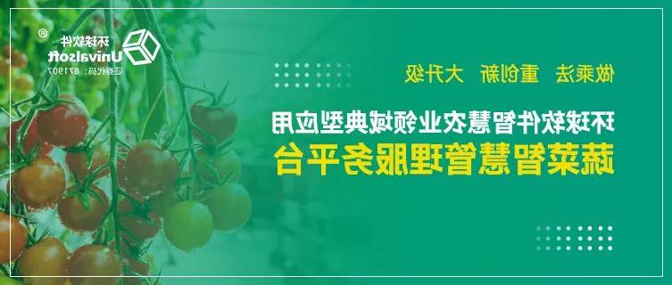 做乘法 重创新 大升级——看欧洲杯买球如何助力蔬菜产业链转型升级